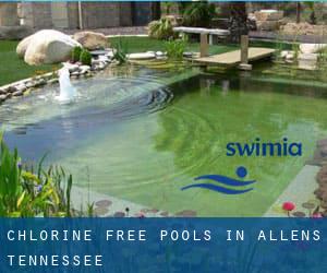 Chlorine Free Pools in Allens (Tennessee)