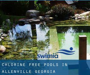 Chlorine Free Pools in Allenville (Georgia)