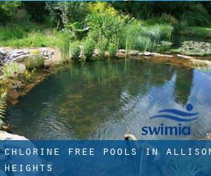 Chlorine Free Pools in Allison Heights