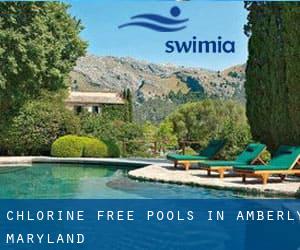 Chlorine Free Pools in Amberly (Maryland)