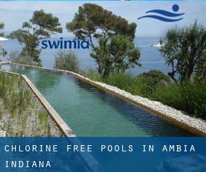 Chlorine Free Pools in Ambia (Indiana)