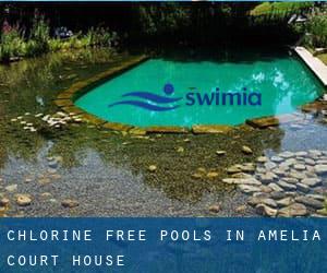 Chlorine Free Pools in Amelia Court House