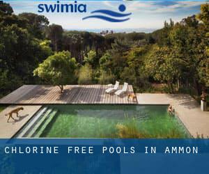 Chlorine Free Pools in Ammon