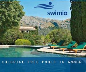 Chlorine Free Pools in Ammon