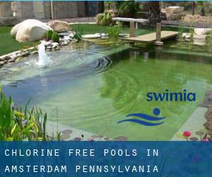 Chlorine Free Pools in Amsterdam (Pennsylvania)