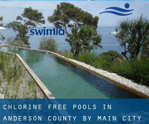 Chlorine Free Pools in Anderson County by Main City - page 1