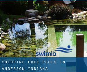 Chlorine Free Pools in Anderson (Indiana)