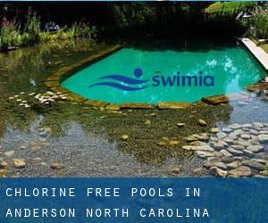 Chlorine Free Pools in Anderson (North Carolina)