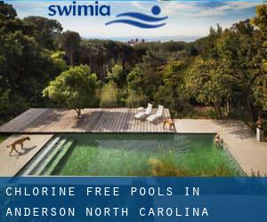 Chlorine Free Pools in Anderson (North Carolina)