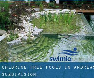 Chlorine Free Pools in Andrews Subdivision