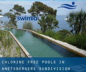 Chlorine Free Pools in Anetsberger's Subdivision