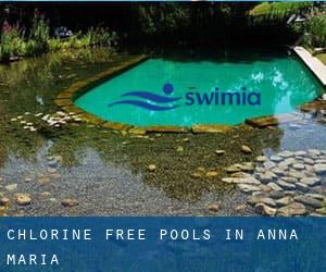 Chlorine Free Pools in Anna Maria