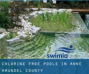 Chlorine Free Pools in Anne Arundel County