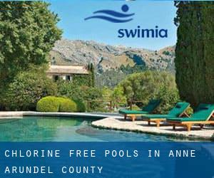 Chlorine Free Pools in Anne Arundel County