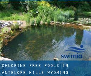 Chlorine Free Pools in Antelope Hills (Wyoming)