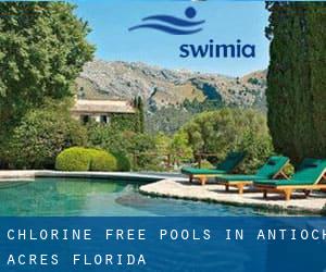 Chlorine Free Pools in Antioch Acres (Florida)