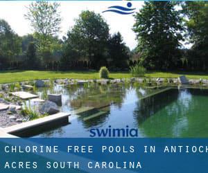 Chlorine Free Pools in Antioch Acres (South Carolina)