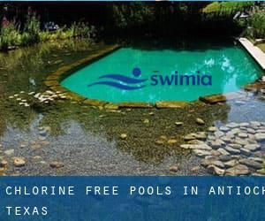 Chlorine Free Pools in Antioch (Texas)