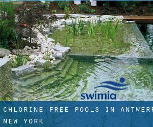 Chlorine Free Pools in Antwerp (New York)