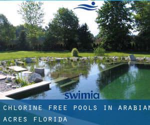 Chlorine Free Pools in Arabian Acres (Florida)