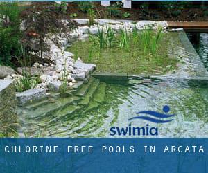 Chlorine Free Pools in Arcata