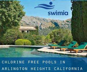 Chlorine Free Pools in Arlington Heights (California)