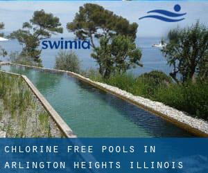 Chlorine Free Pools in Arlington Heights (Illinois)