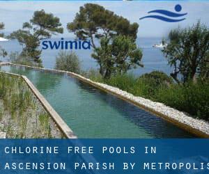 Chlorine Free Pools in Ascension Parish by Metropolis - page 1