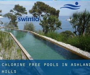 Chlorine Free Pools in Ashland Hills