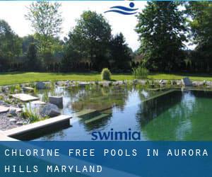 Chlorine Free Pools in Aurora Hills (Maryland)