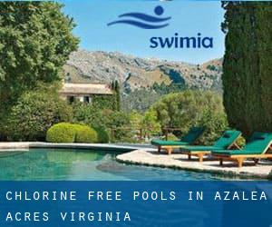 Chlorine Free Pools in Azalea Acres (Virginia)