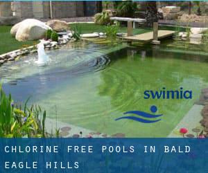 Chlorine Free Pools in Bald Eagle Hills