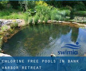 Chlorine Free Pools in Bank Harbor Retreat