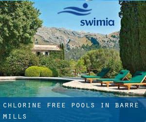 Chlorine Free Pools in Barre Mills