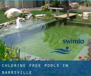 Chlorine Free Pools in Barrsville