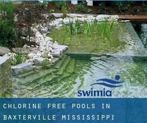 Chlorine Free Pools in Baxterville (Mississippi)