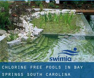 Chlorine Free Pools in Bay Springs (South Carolina)