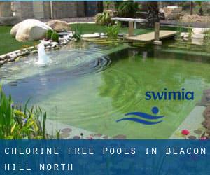 Chlorine Free Pools in Beacon Hill North