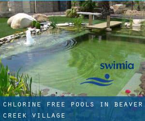 Chlorine Free Pools in Beaver Creek Village