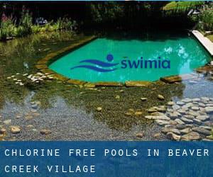 Chlorine Free Pools in Beaver Creek Village