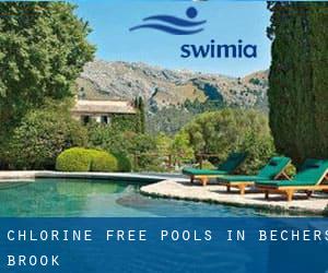 Chlorine Free Pools in Bechers Brook