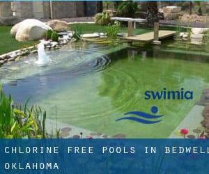 Chlorine Free Pools in Bedwell (Oklahoma)