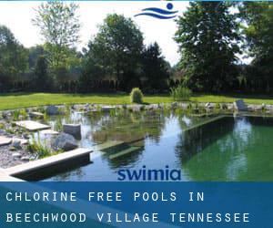 Chlorine Free Pools in Beechwood Village (Tennessee)