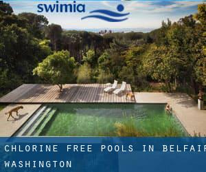 Chlorine Free Pools in Belfair (Washington)