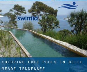 Chlorine Free Pools in Belle Meade (Tennessee)