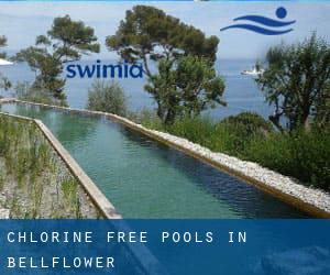 Chlorine Free Pools in Bellflower