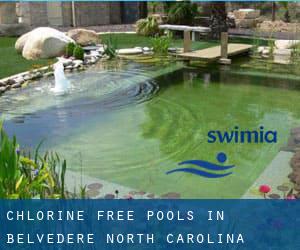 Chlorine Free Pools in Belvedere (North Carolina)