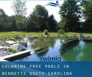 Chlorine Free Pools in Bennetts (South Carolina)