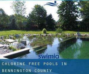 Chlorine Free Pools in Bennington County