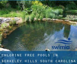 Chlorine Free Pools in Berkeley Hills (South Carolina)